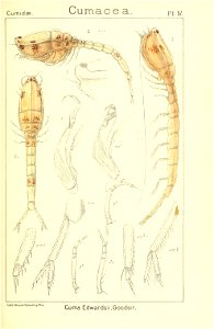 n140_w1150