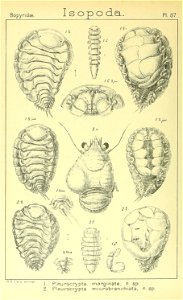 n459_w1150