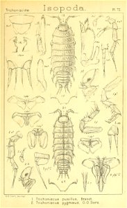 n428_w1150