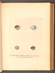n117_w1150