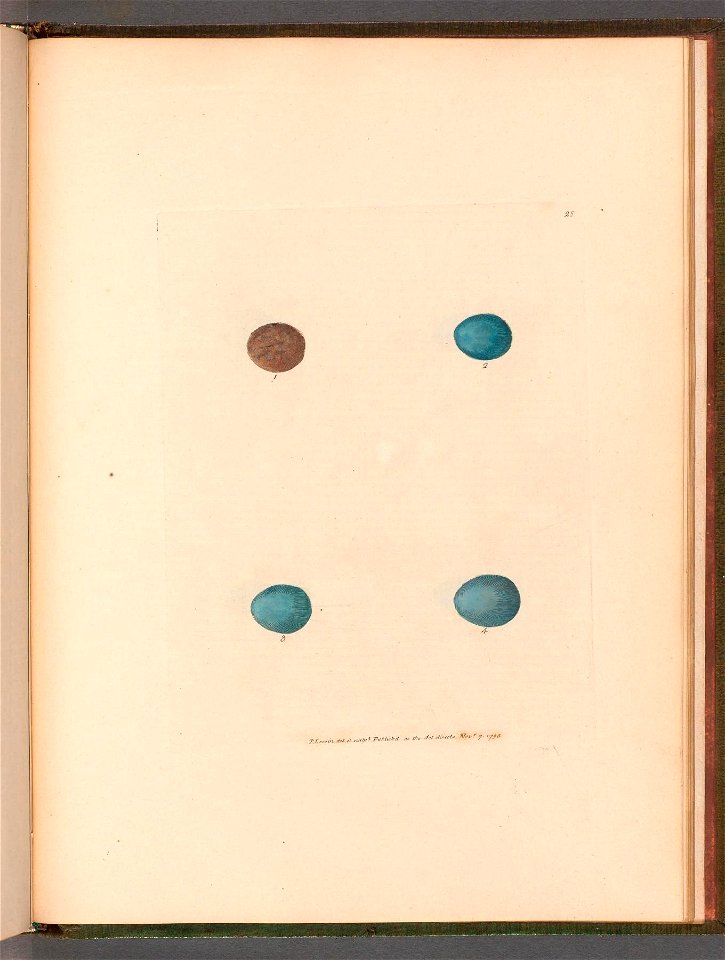 n112_w1150