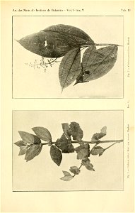 n574_w1150