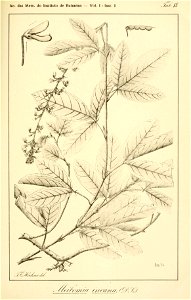 n98_w1150