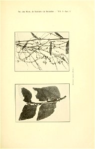 n36_w1150