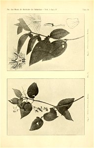 n572_w1150