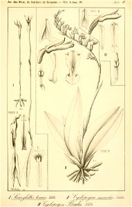 n310_w1150