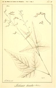 n96_w1150