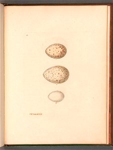 n118_w1150
