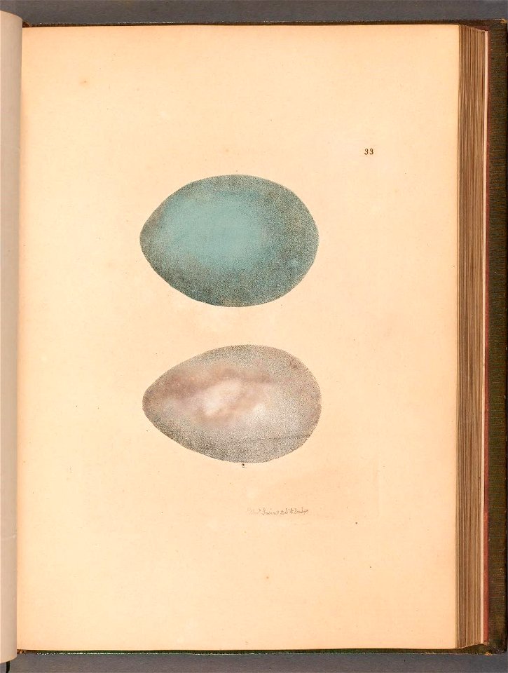 n120_w1150