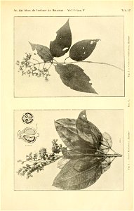 n570_w1150