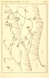 n702_w1150