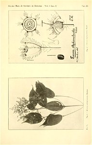 n568_w1150