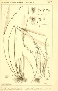 n172_w1150