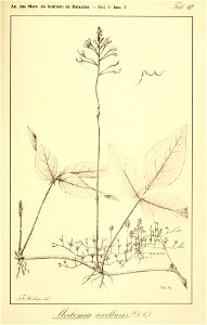 n92_w1150