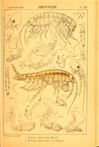 n198_w1150