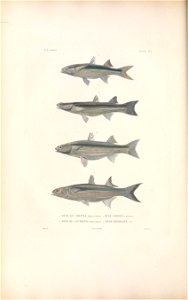 n155_w1150