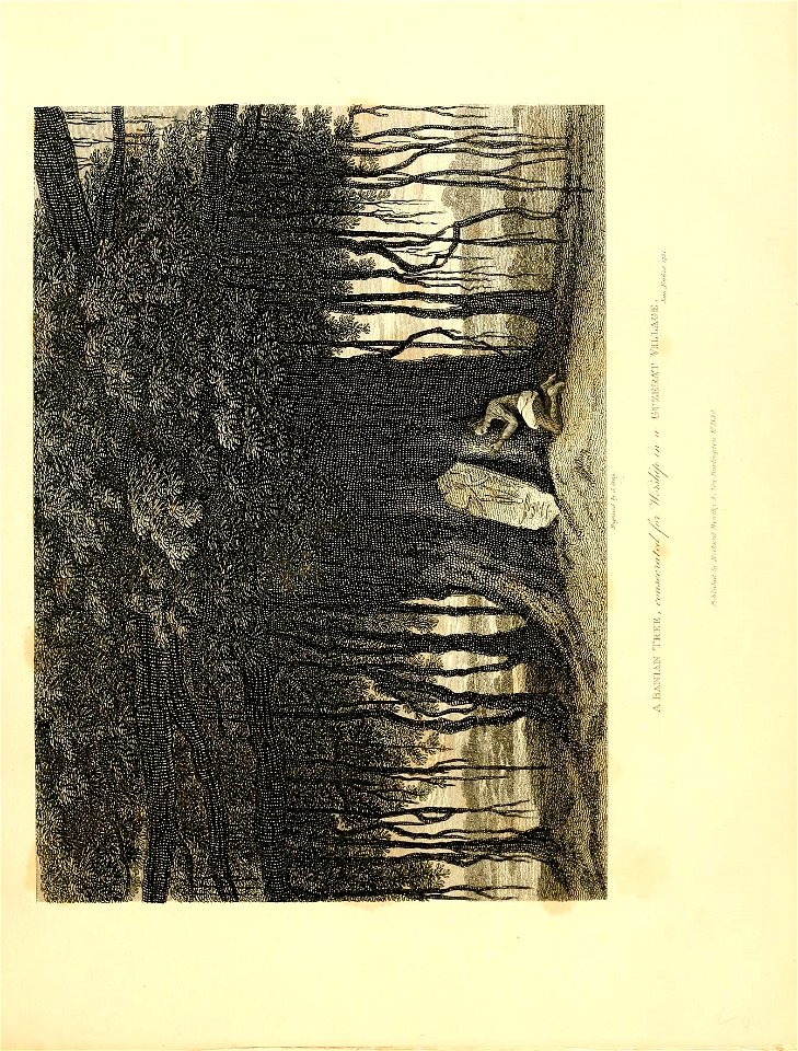 n80_w1150