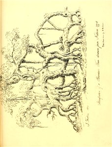 n414_w1150