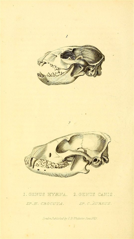 n379_w1150