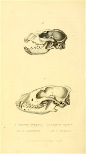 n379_w1150