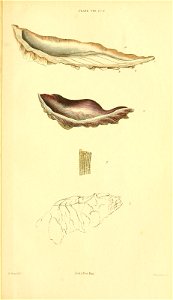 n604_w1150