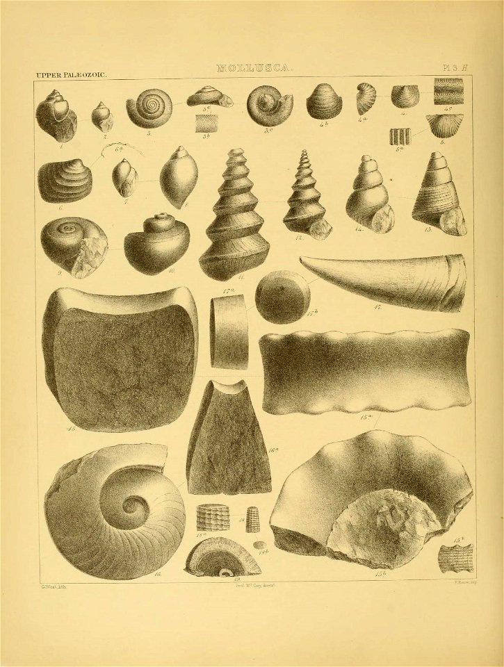 n101_w1150