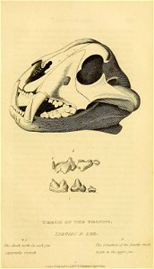 n506_w1150