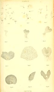 n638_w1150