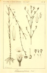 n546_w1150