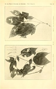 n576_w1150