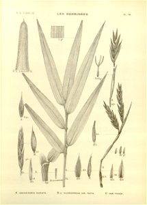 n16_w1150