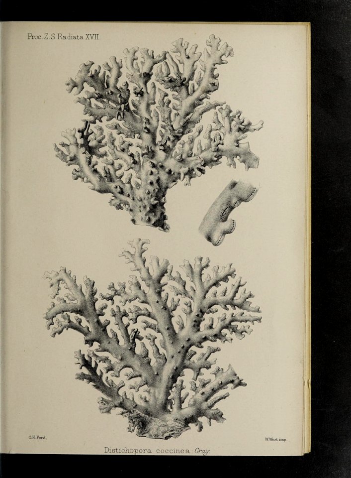 n192_w1150