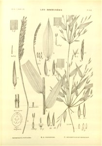 n45_w1150