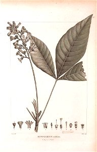 n473_w1150