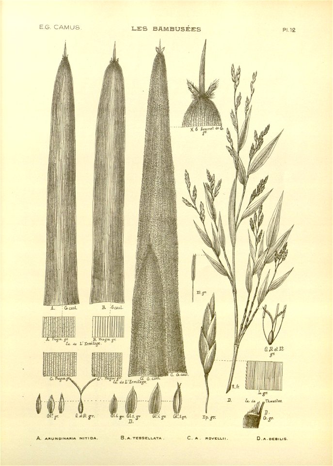 n14_w1150