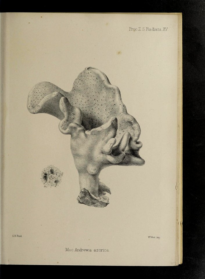 n188_w1150