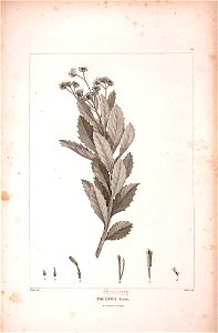 n538_w1150
