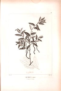 n467_w1150