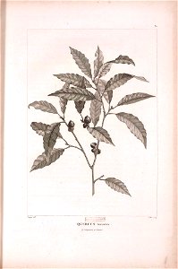 n413_w1150