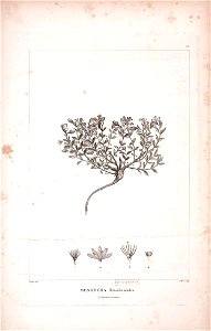 n536_w1150