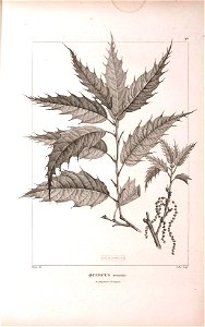 n463_w1150