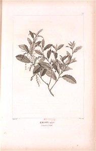 n407_w1150