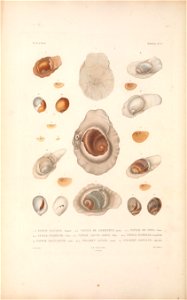 n43_w1150