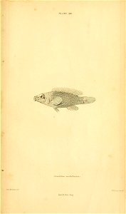 n616_w1150