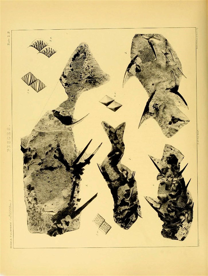 n57_w1150