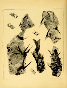 n57_w1150