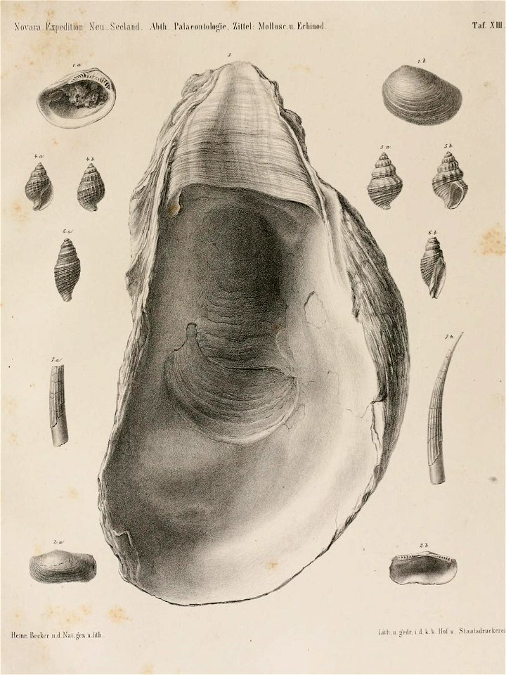 n378_w1150