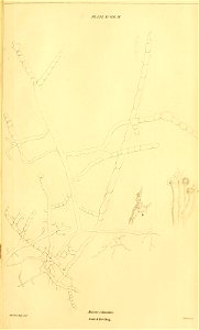 n610_w1150