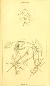 n608_w1150