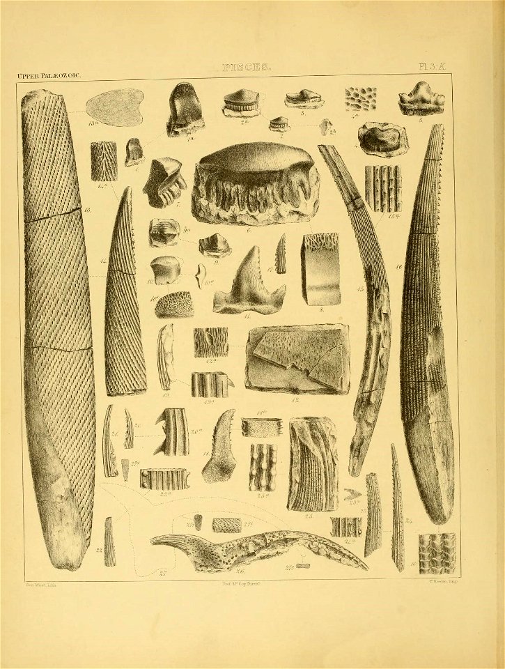 n109_w1150